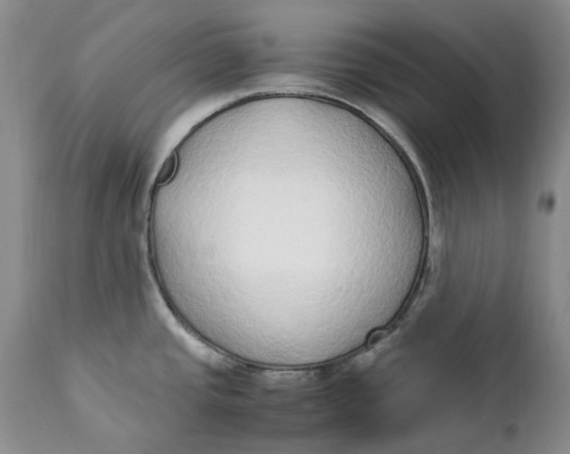 X0000112041437200908241552