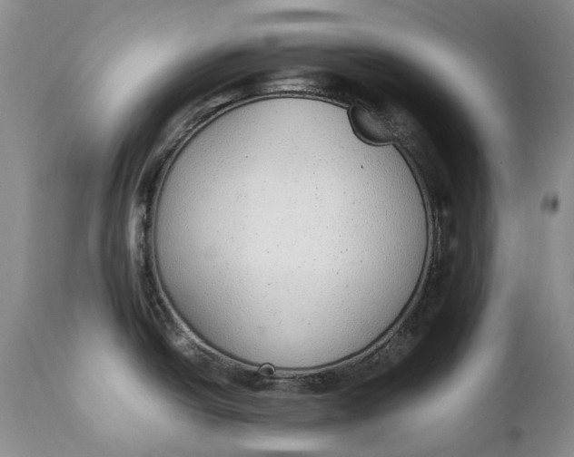 X0000112041438200908241552