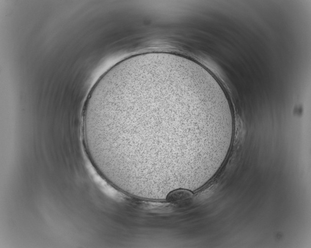 X0000112041439200908241552