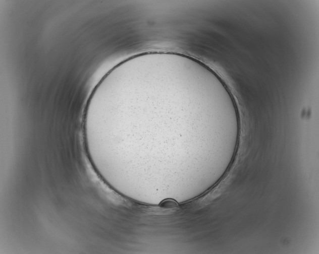 X0000112041440200908241552