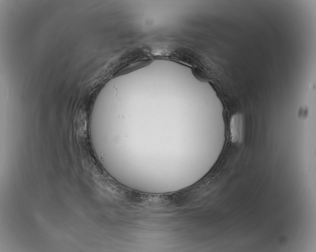 X0000112041443200908241551