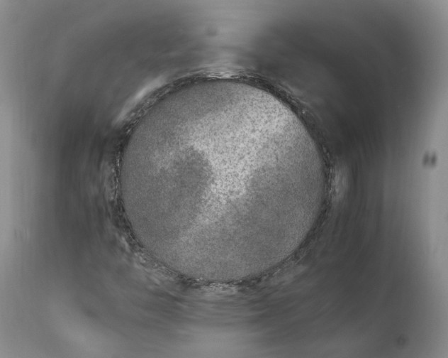 X0000112041446200908241551