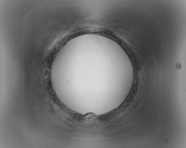 X0000112041447200908241551