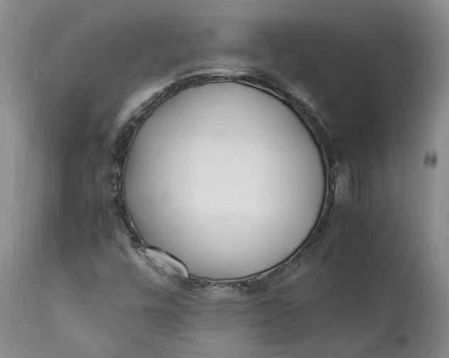 X0000112041448200908241551