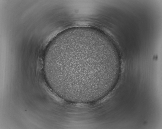 X0000112041449200908241551
