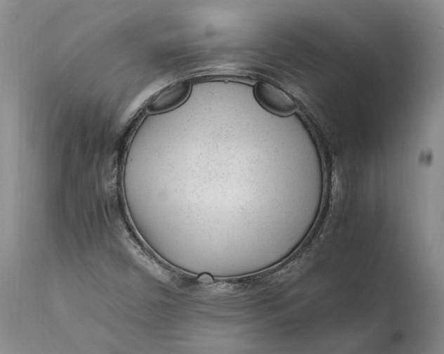 X0000112041450200908241551