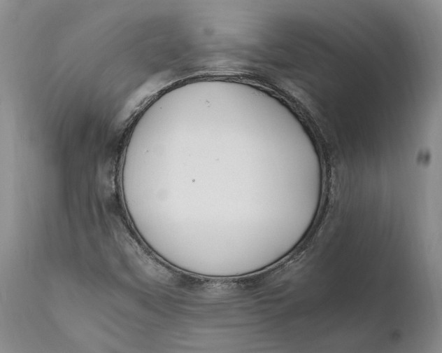X0000112041451200908241551