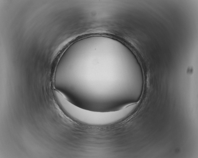 X0000112041452200908241551