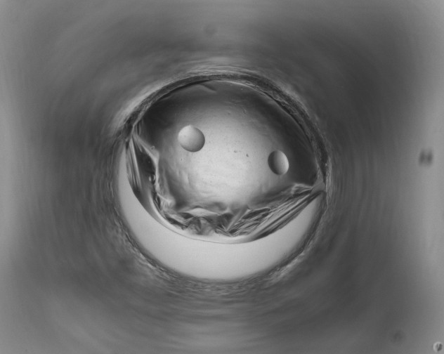 X0000112041453200908241551