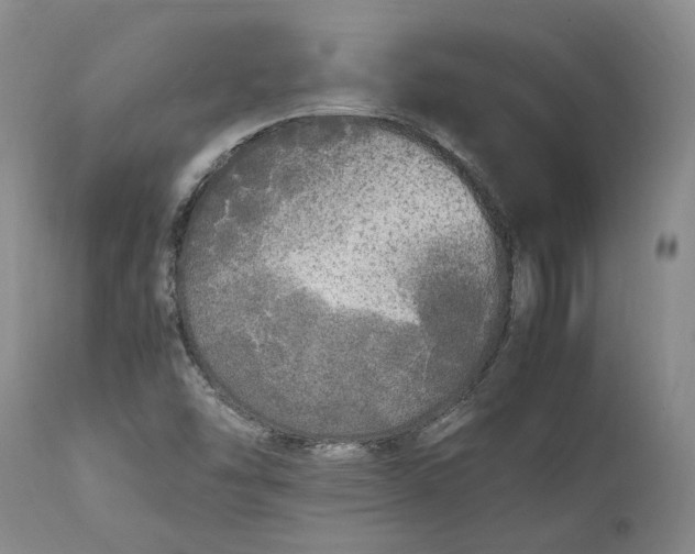 X0000112041454200908241551