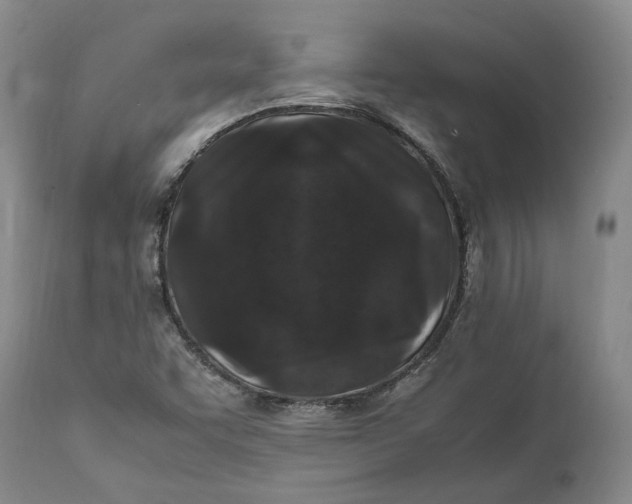 X0000112041455200908241551