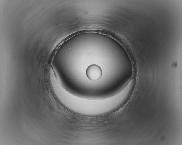 X0000112041457200908241551