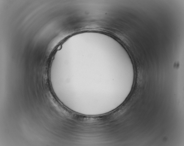 X0000112041458200908241551