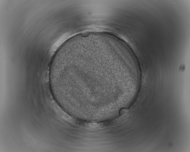 X0000112041459200908241551