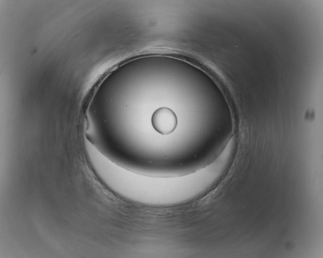 X0000112041461200908241551