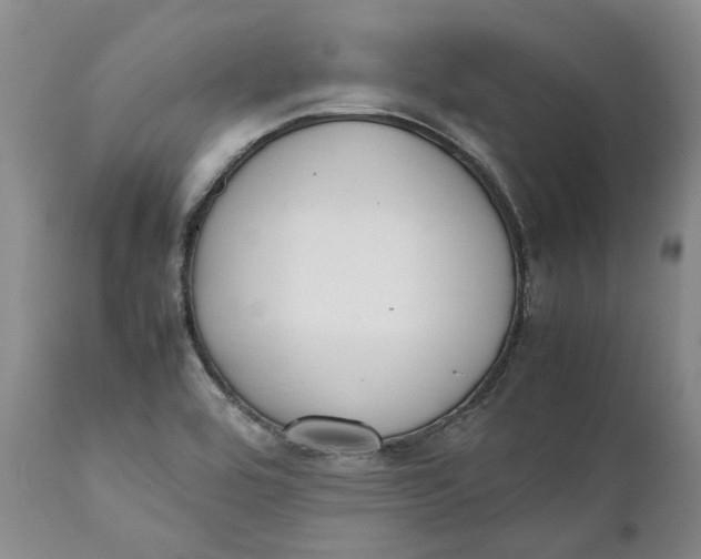 X0000112041464200908241551