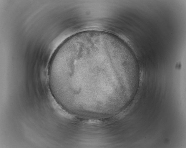 X0000112041466200908241551