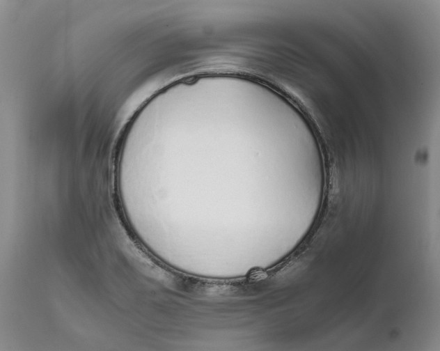 X0000112041467200908241551