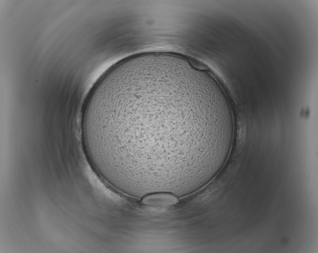X0000112041468200908241551