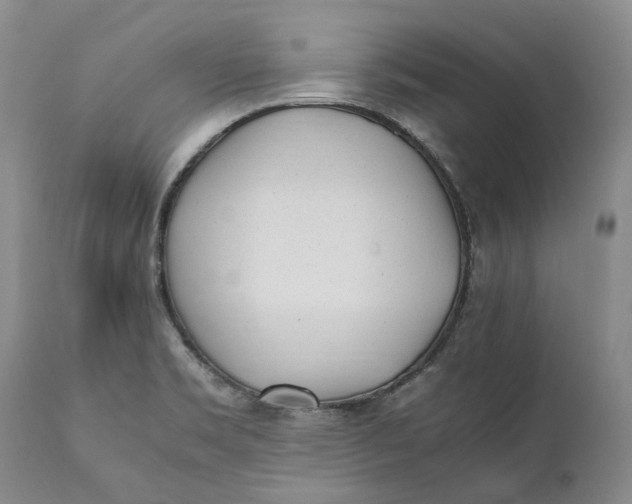 X0000112041469200908241551