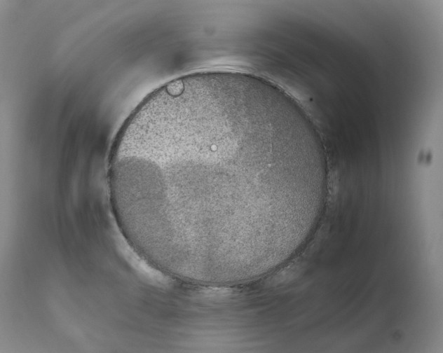 X0000112041470200908241551