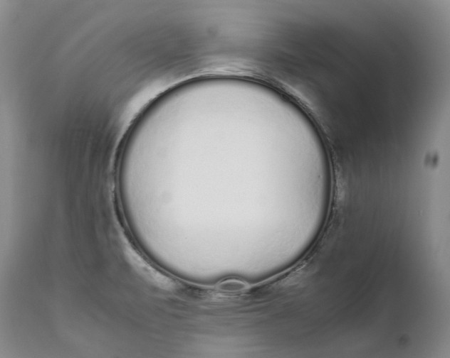 X0000112041471200908241551
