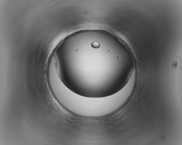 X0000112041472200908241550