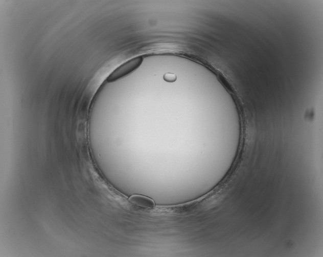 X0000112041473200908241550