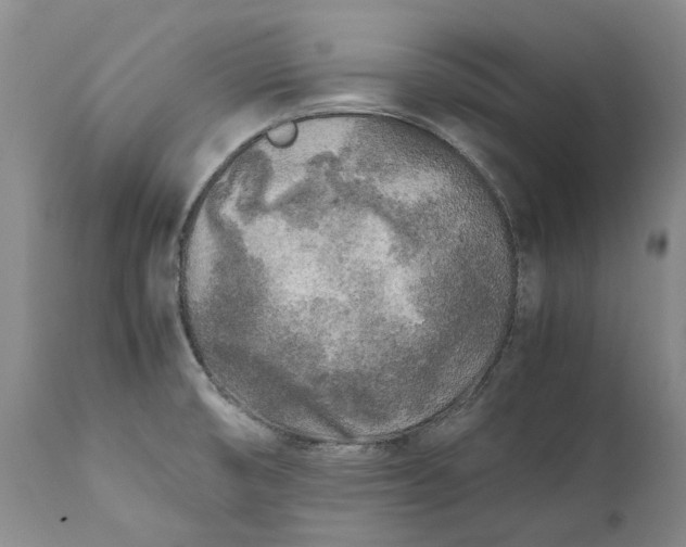 X0000112041474200908241550