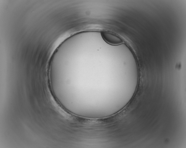X0000112041475200908241550