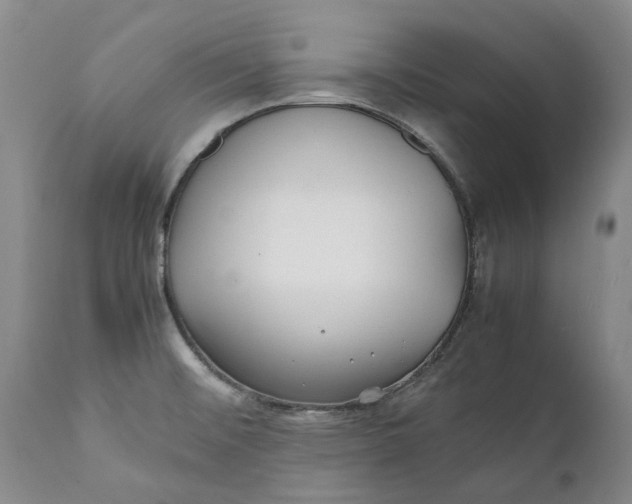 X0000112041476200908241550
