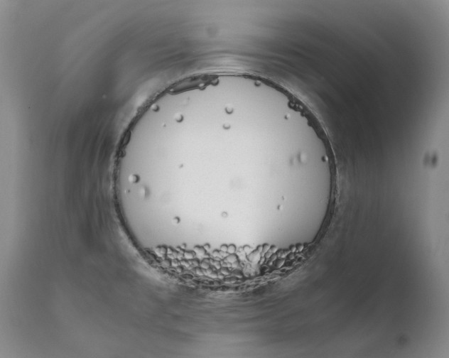 X0000112041477200908241550
