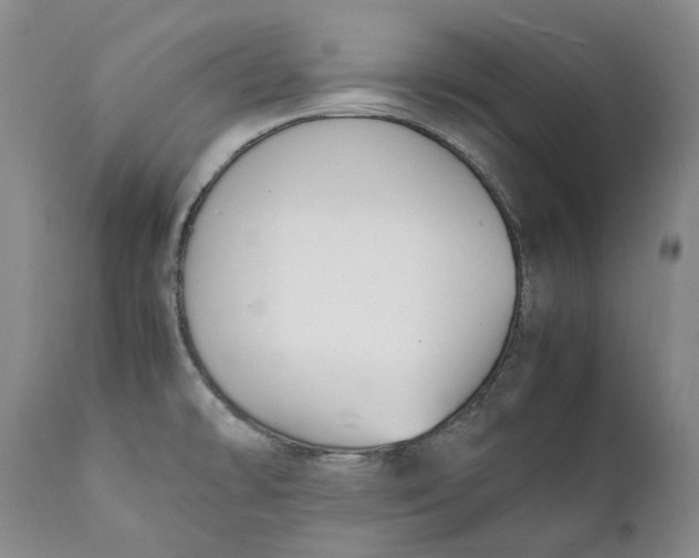 X0000112041478200908241550