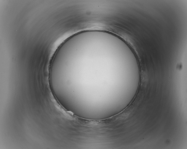 X0000112041480200908241550