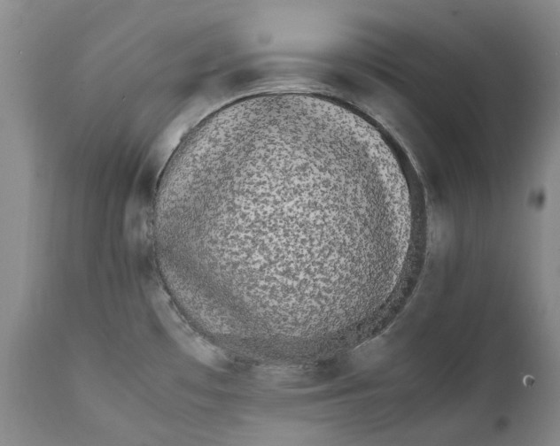 X0000112041481200908241550