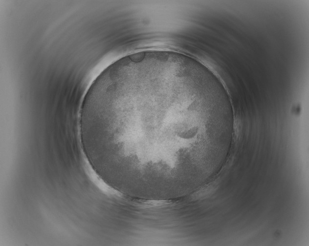 X0000112041482200908241550