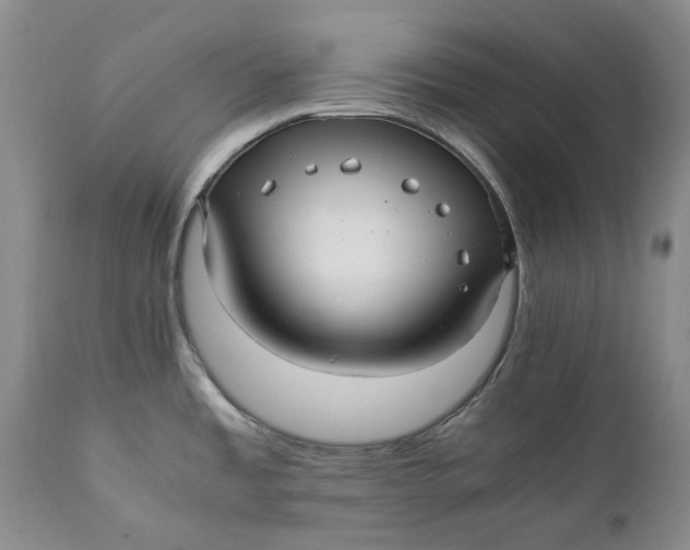 X0000112041485200908241550