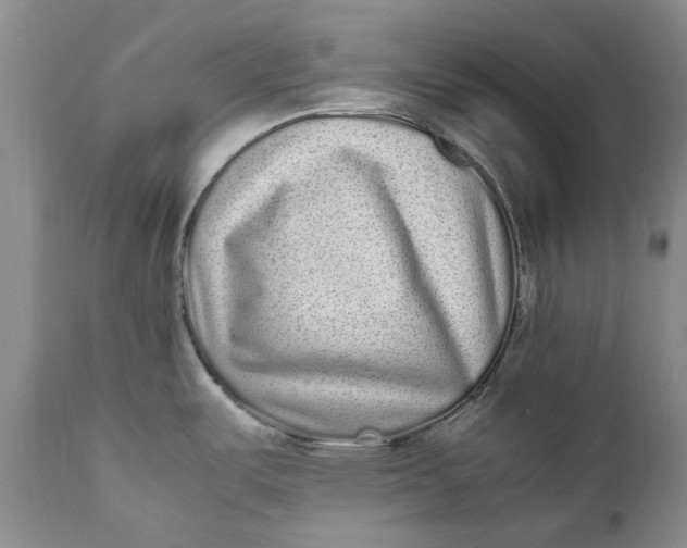 X0000112041487200908241550