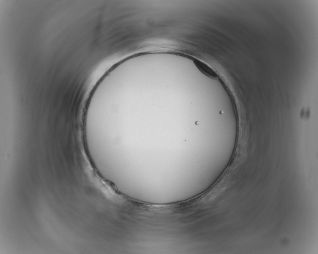 X0000112041488200908241550