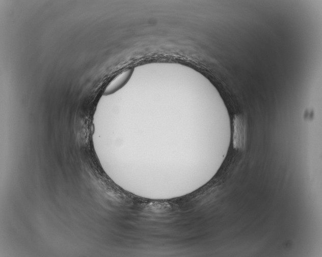 X0000112041491200908241550