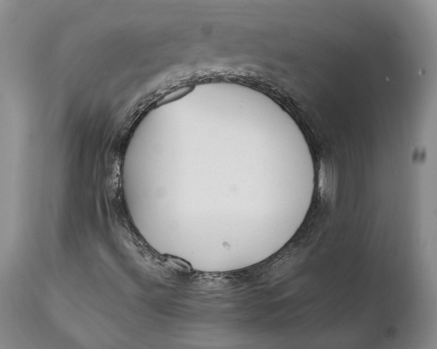 X0000112041492200908241550