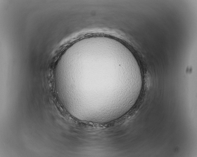 X0000112041494200908241550