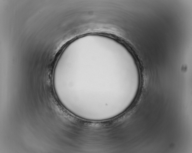 X0000112041497200908241550