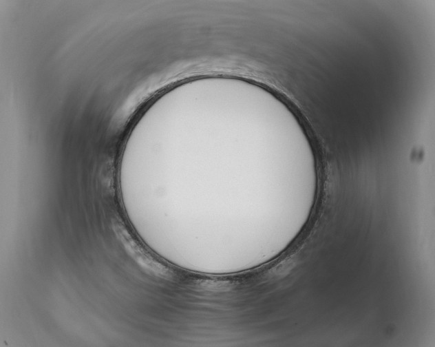X0000112041499200908241550
