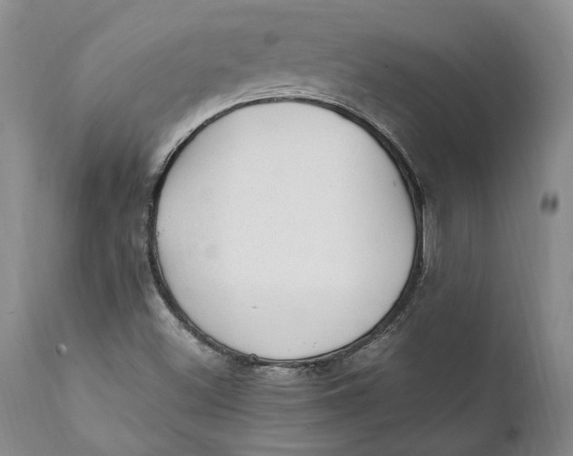 X0000112041500200908241550