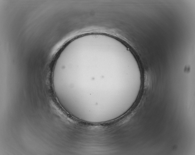 X0000112041502200908241550