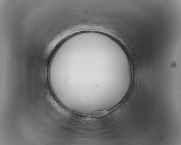 X0000112041503200908241550