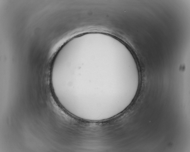 X0000112041504200908241550