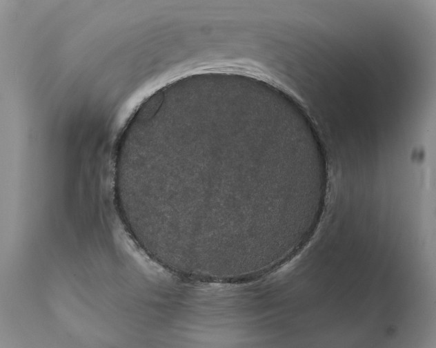 X0000112041506200908241550