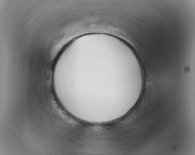 X0000112041507200908241550